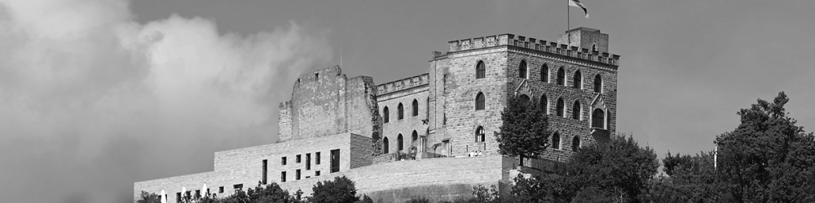 »Das Saxophon ist meine Mystery Box«  – Im Gespräch mit Elliot Riley