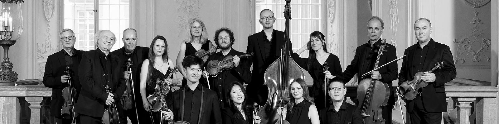 Willkommen Ariana Oroño!