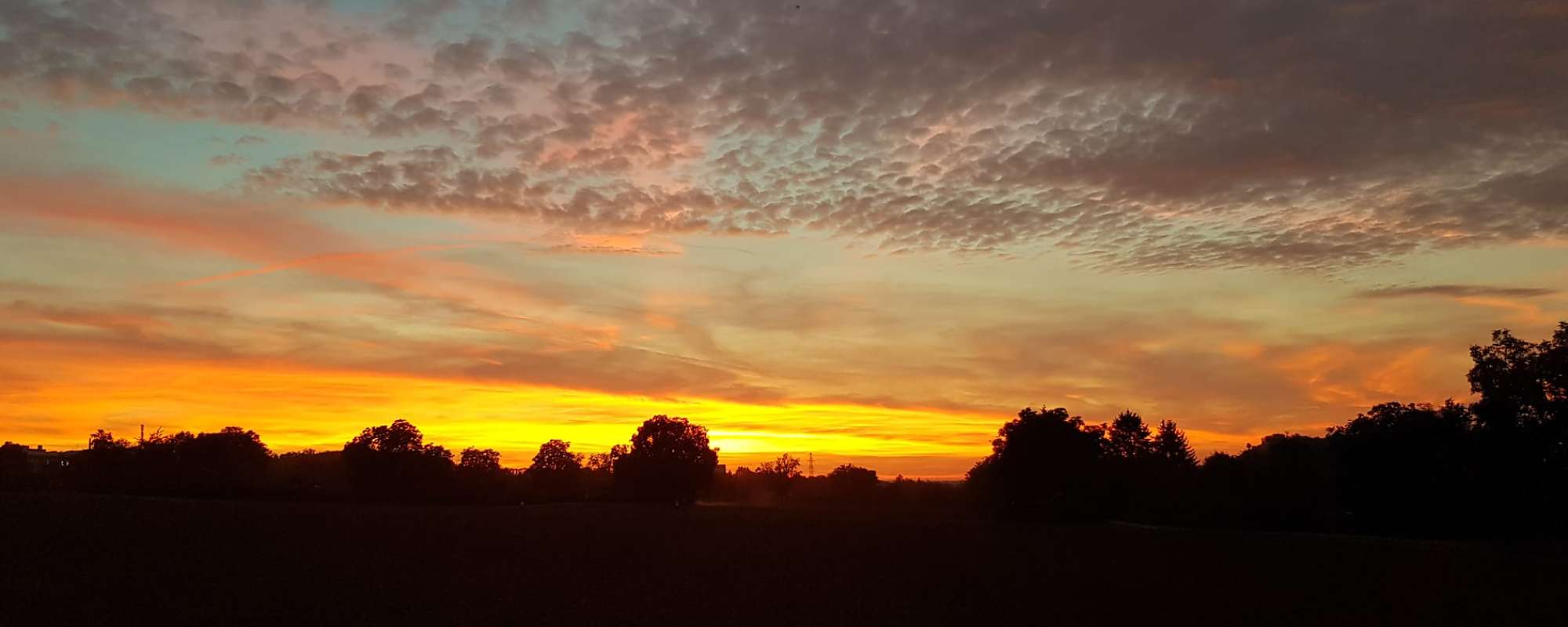 Blaue Stunde im Juli
